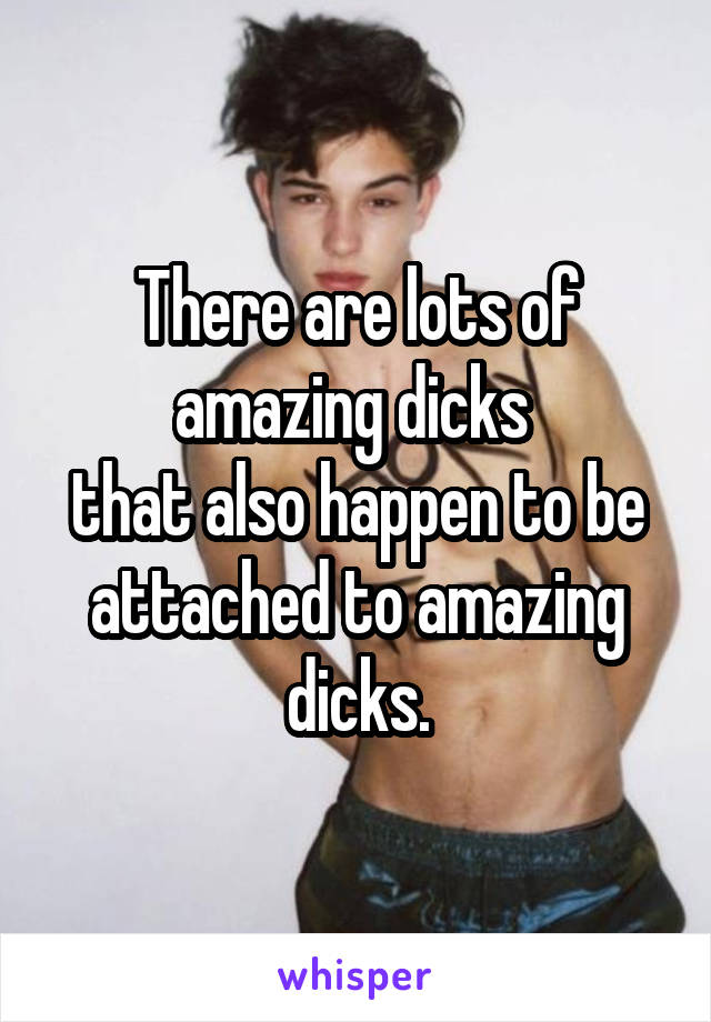 There are lots of amazing dicks 
that also happen to be attached to amazing dicks.