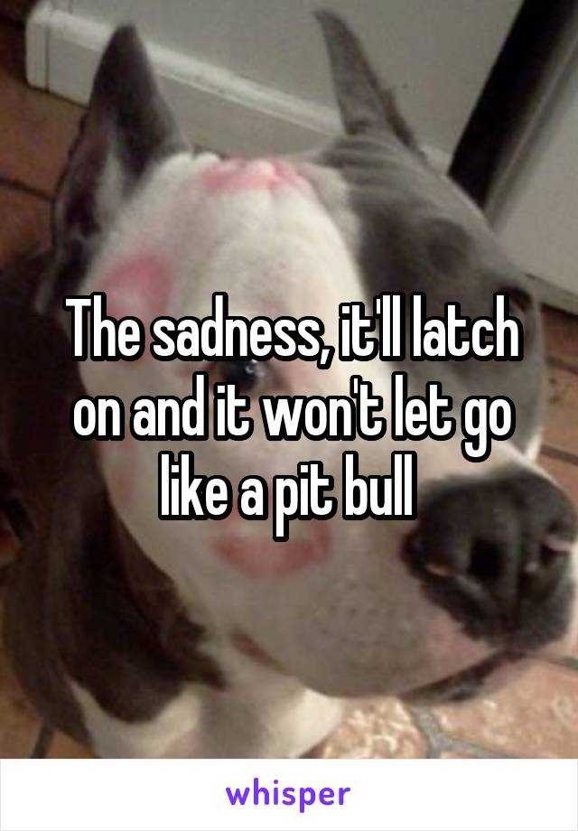 The sadness, it'll latch on and it won't let go like a pit bull 