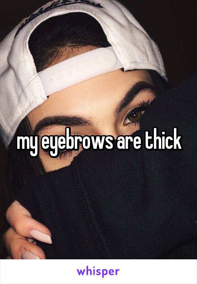my eyebrows are thick