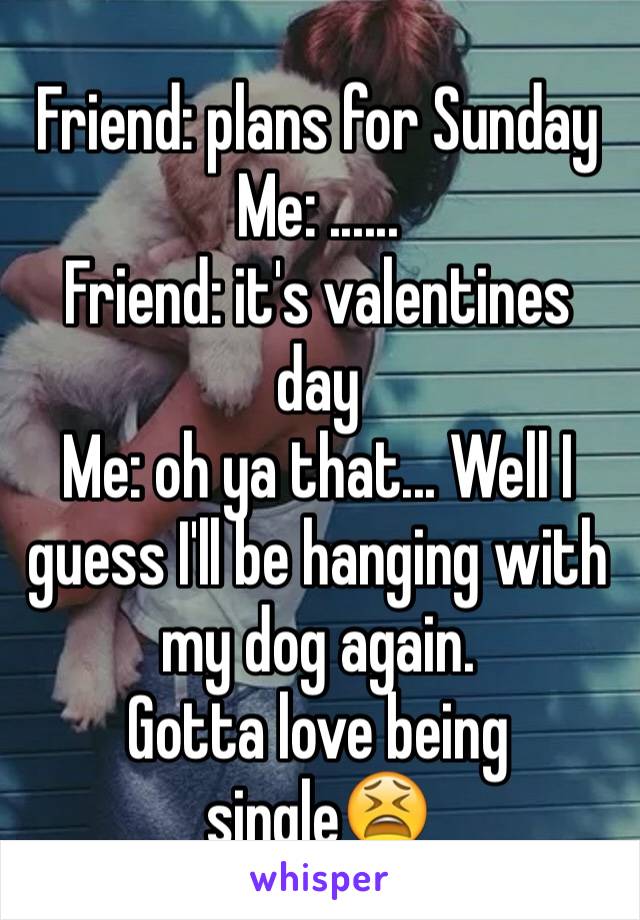 Friend: plans for Sunday
Me: ......
Friend: it's valentines day 
Me: oh ya that... Well I guess I'll be hanging with my dog again. 
Gotta love being single😫