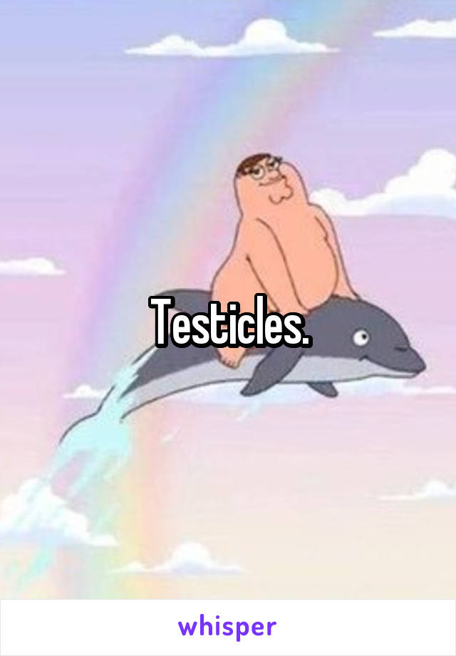 Testicles.