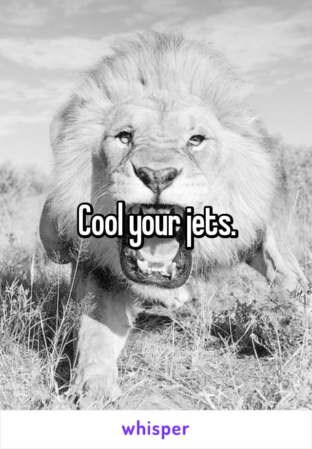 Cool your jets.