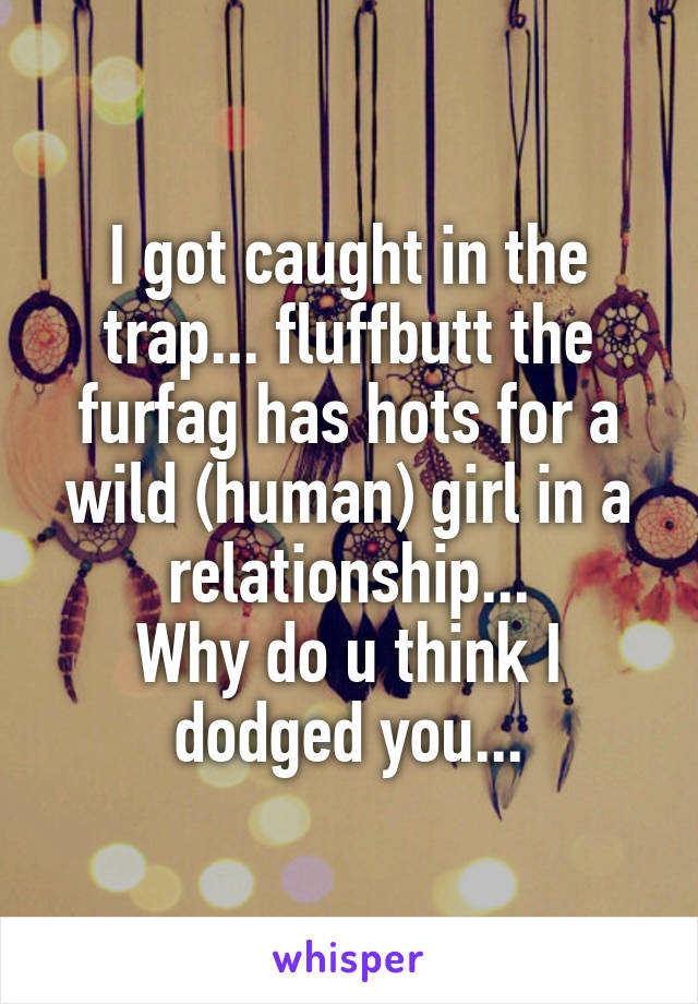 I got caught in the trap... fluffbutt the furfag has hots for a wild (human) girl in a relationship...
Why do u think I dodged you...