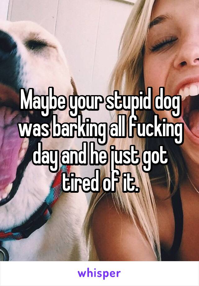 Maybe your stupid dog was barking all fucking day and he just got tired of it.