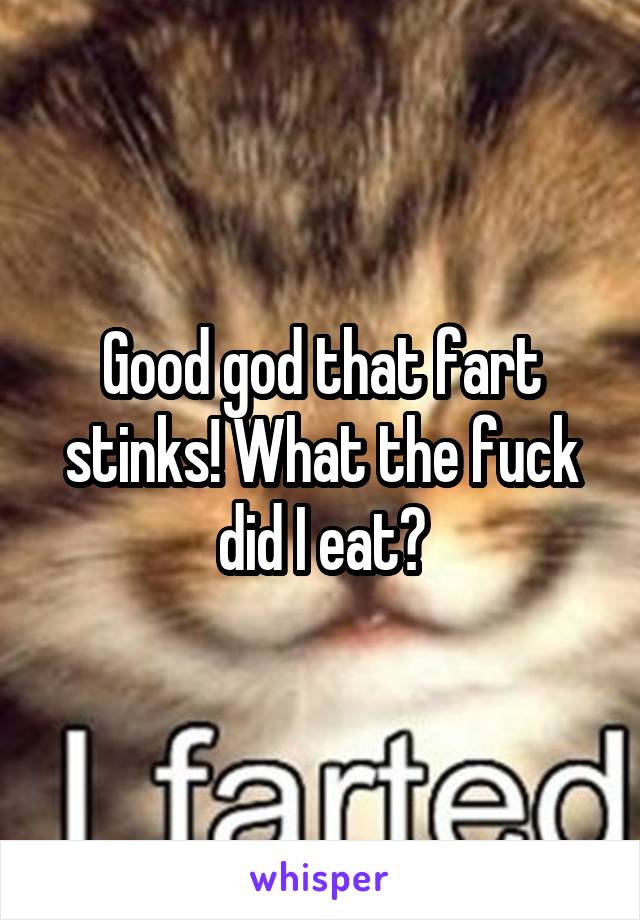 Good god that fart stinks! What the fuck did I eat?