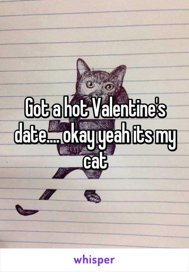 Got a hot Valentine's date.... okay yeah its my cat