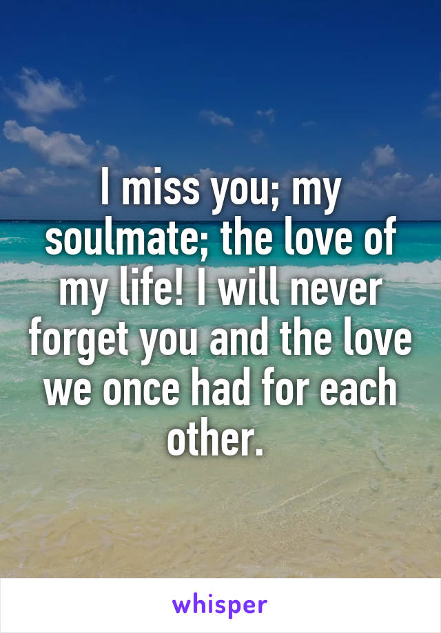 I miss you; my soulmate; the love of my life! I will never forget you and the love we once had for each other. 
