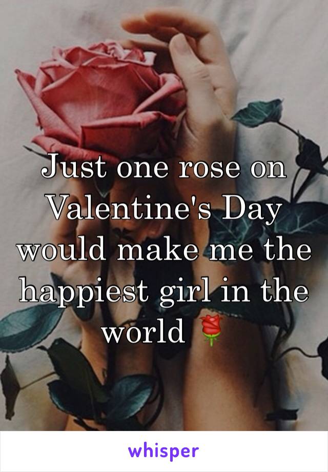 Just one rose on Valentine's Day would make me the happiest girl in the world 🌹