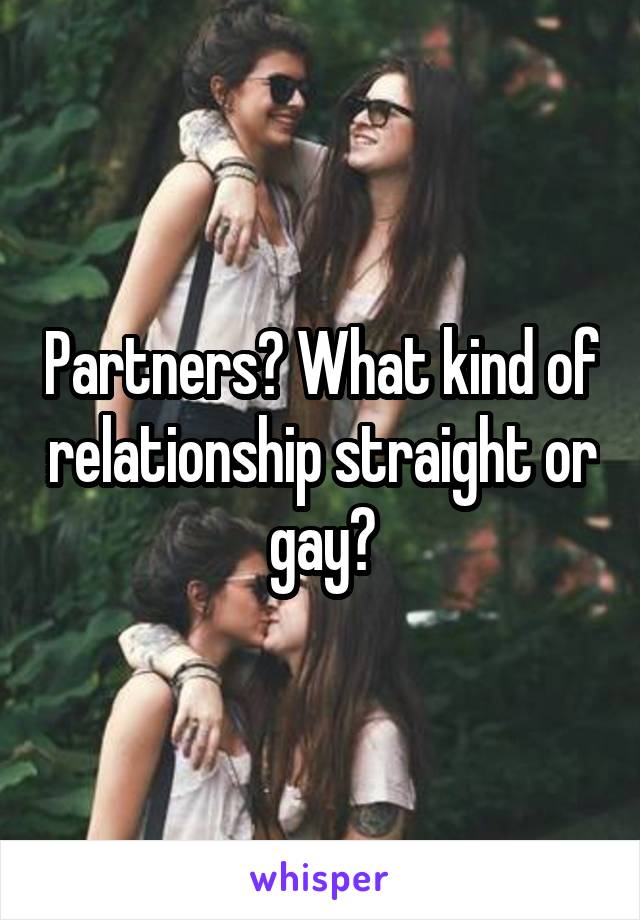 Partners? What kind of relationship straight or gay?