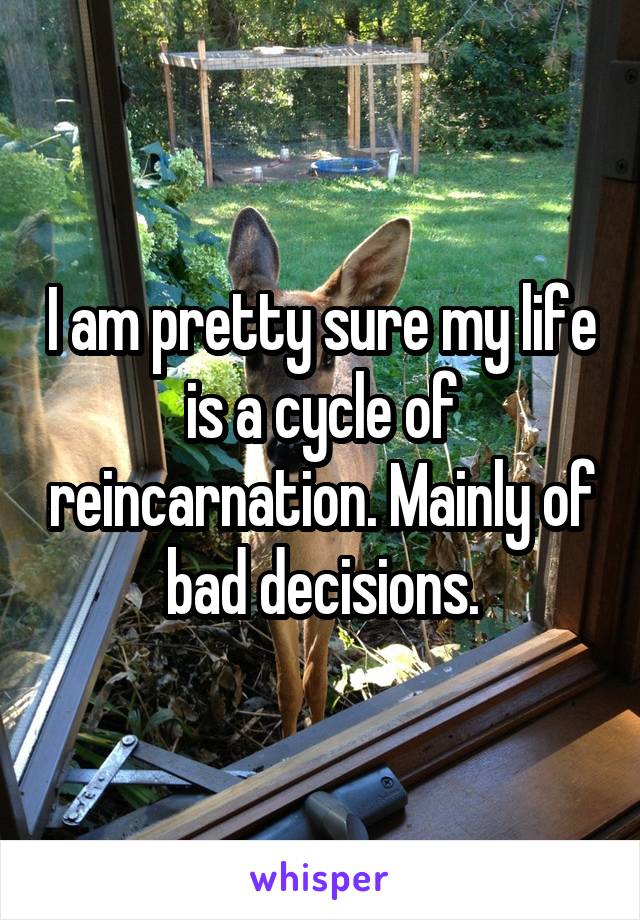 I am pretty sure my life is a cycle of reincarnation. Mainly of bad decisions.