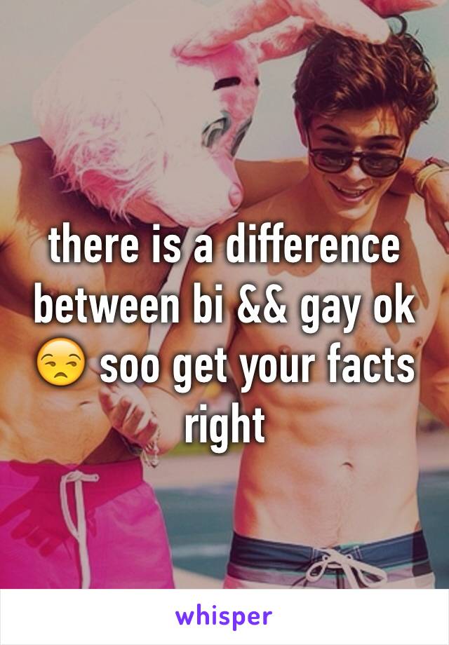 there is a difference between bi && gay ok 😒 soo get your facts right 