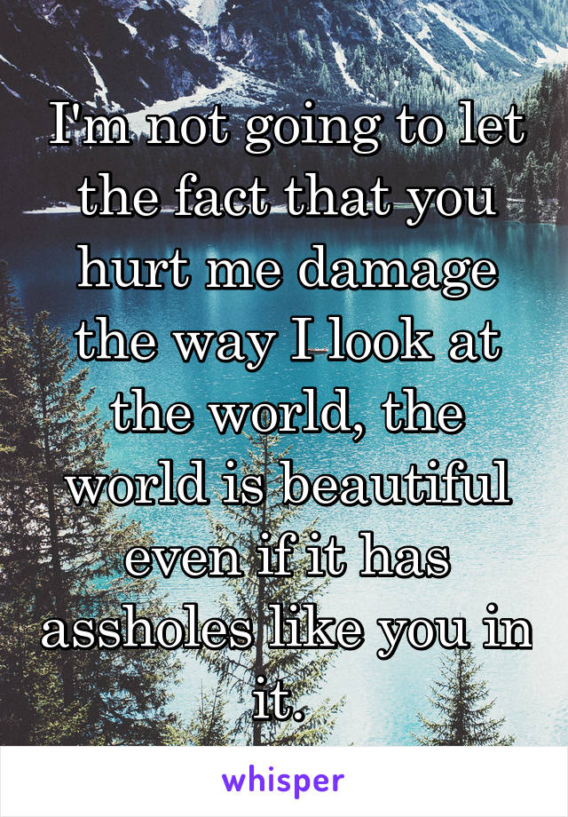 I'm not going to let the fact that you hurt me damage the way I look at the world, the world is beautiful even if it has assholes like you in it. 