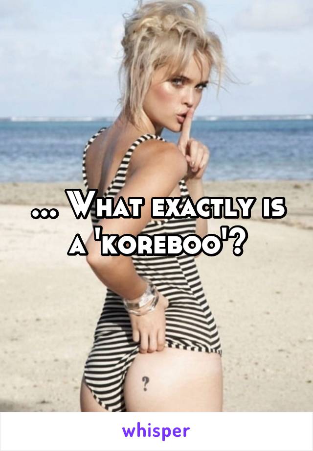 ... What exactly is a 'koreboo'?