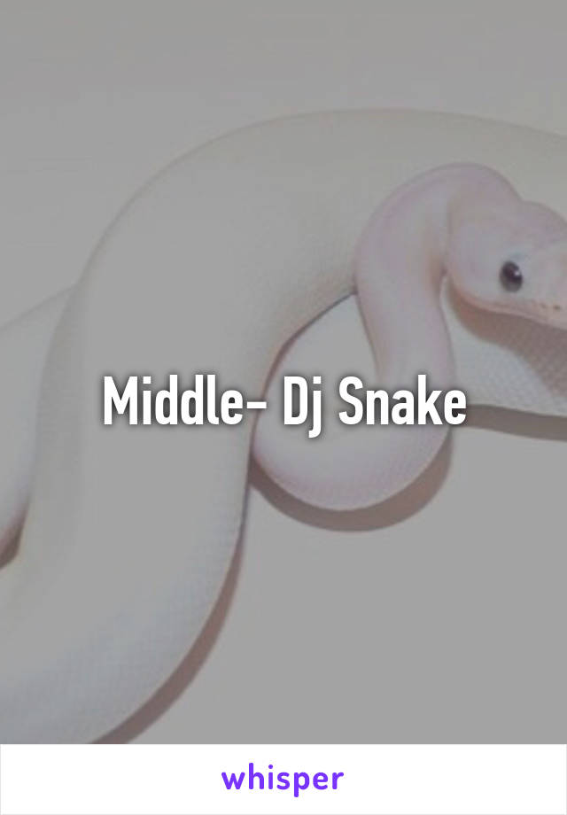 Middle- Dj Snake