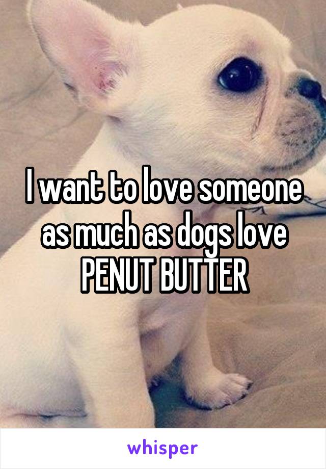 I want to love someone as much as dogs love PENUT BUTTER