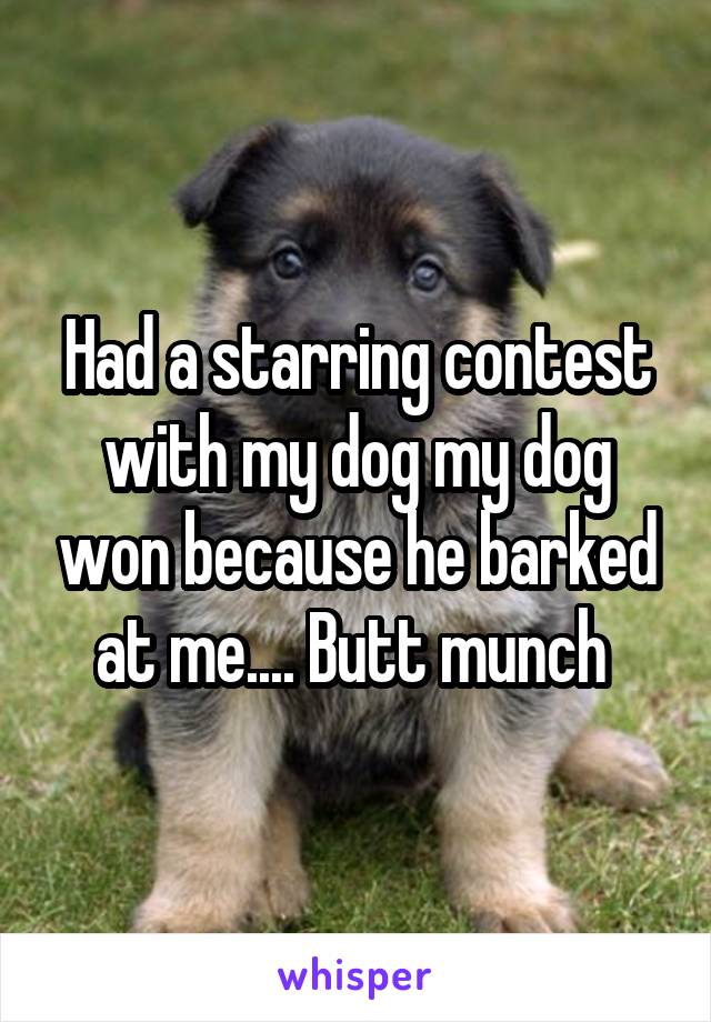 Had a starring contest with my dog my dog won because he barked at me.... Butt munch 