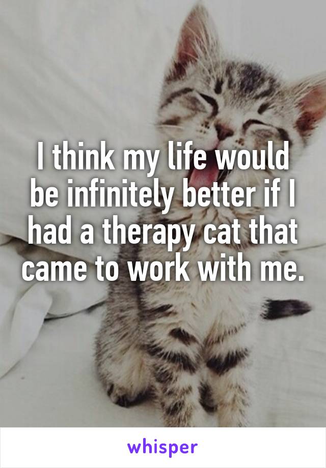 I think my life would be infinitely better if I had a therapy cat that came to work with me. 