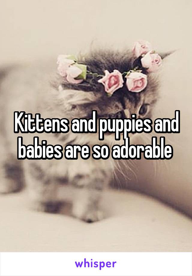 Kittens and puppies and babies are so adorable 