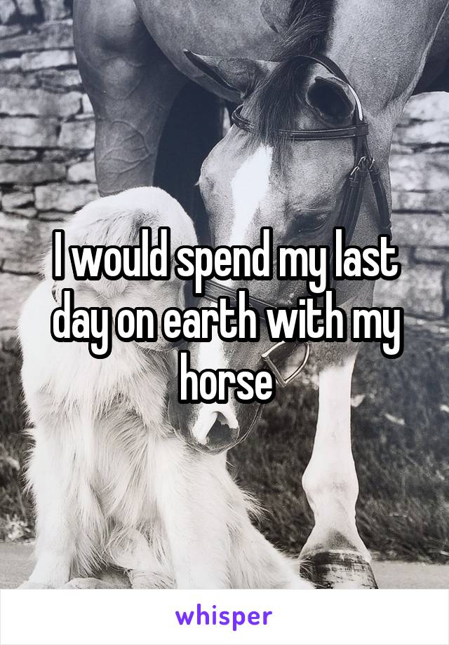 I would spend my last day on earth with my horse