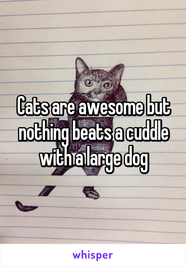 Cats are awesome but nothing beats a cuddle with a large dog