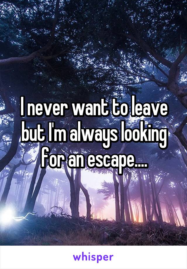 I never want to leave but I'm always looking for an escape....