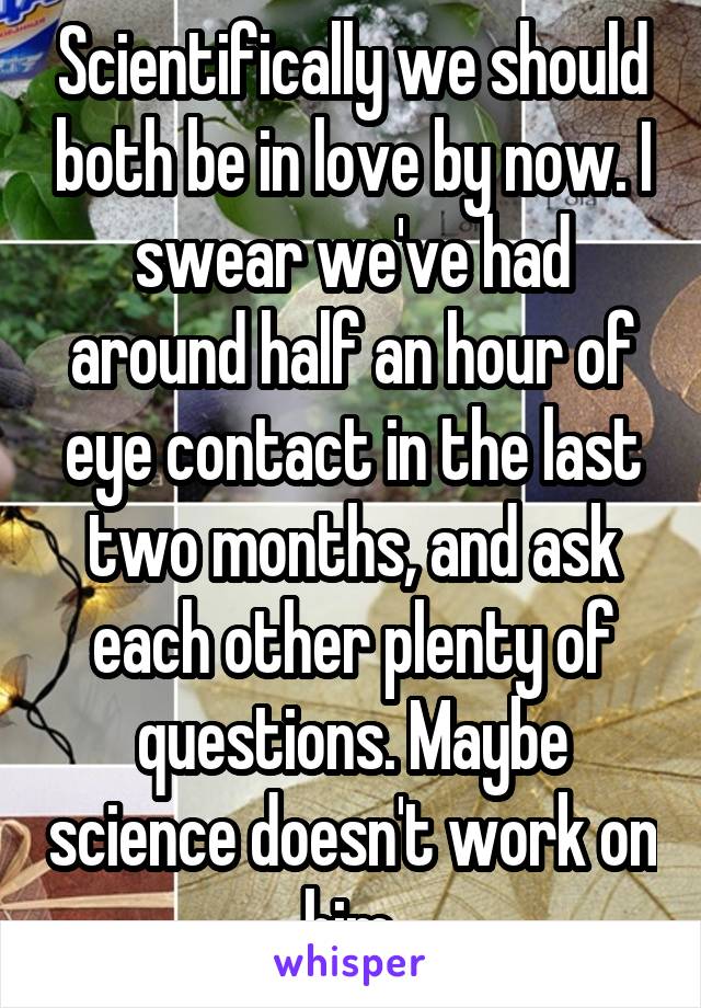 Scientifically we should both be in love by now. I swear we've had around half an hour of eye contact in the last two months, and ask each other plenty of questions. Maybe science doesn't work on him.
