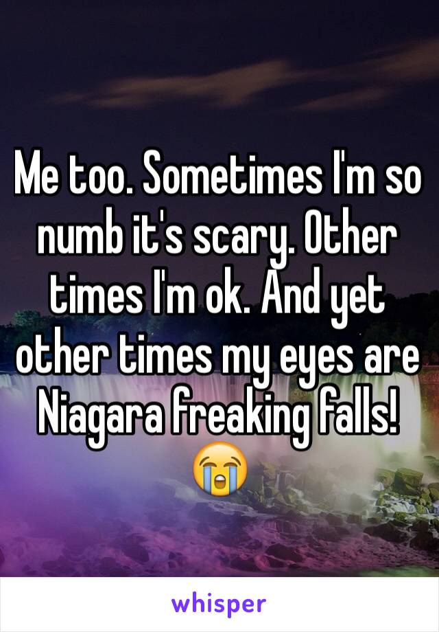 Me too. Sometimes I'm so numb it's scary. Other times I'm ok. And yet other times my eyes are Niagara freaking falls! 😭