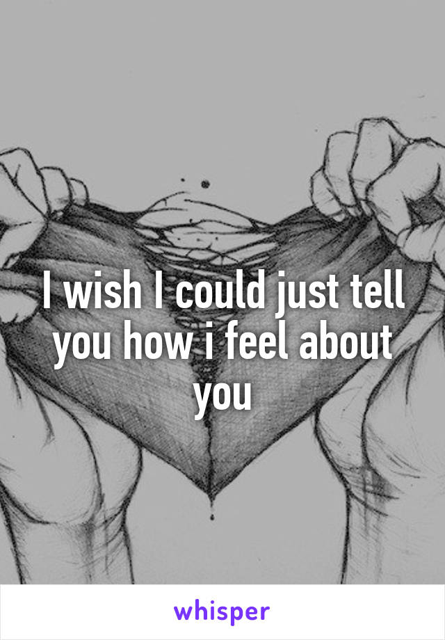 
I wish I could just tell you how i feel about you