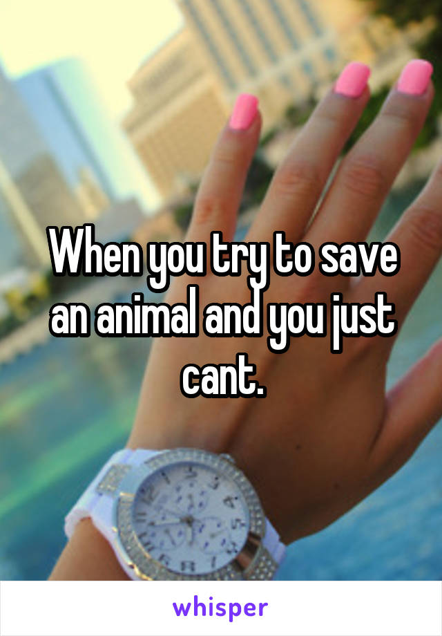 When you try to save an animal and you just cant.