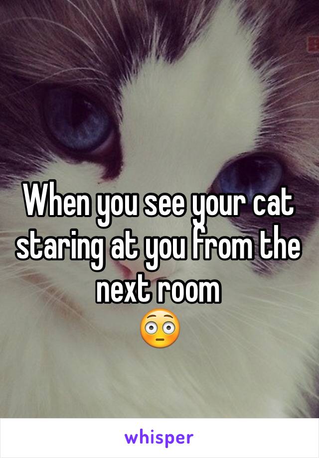 When you see your cat staring at you from the next room
😳