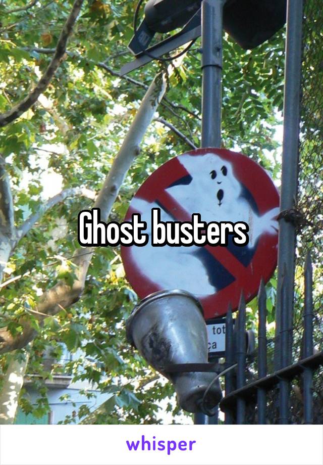 Ghost busters