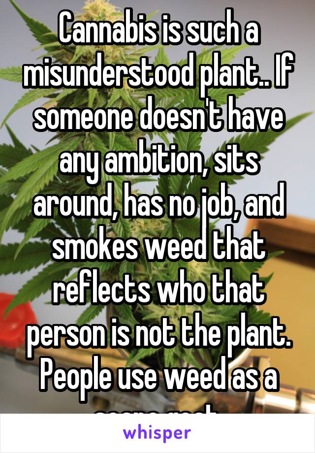 Cannabis is such a misunderstood plant.. If someone doesn't have any ambition, sits around, has no job, and smokes weed that reflects who that person is not the plant. People use weed as a scape goat.