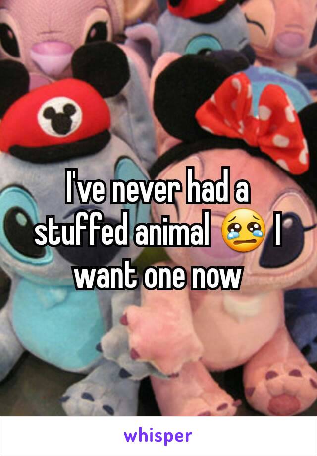 I've never had a stuffed animal 😢 I want one now