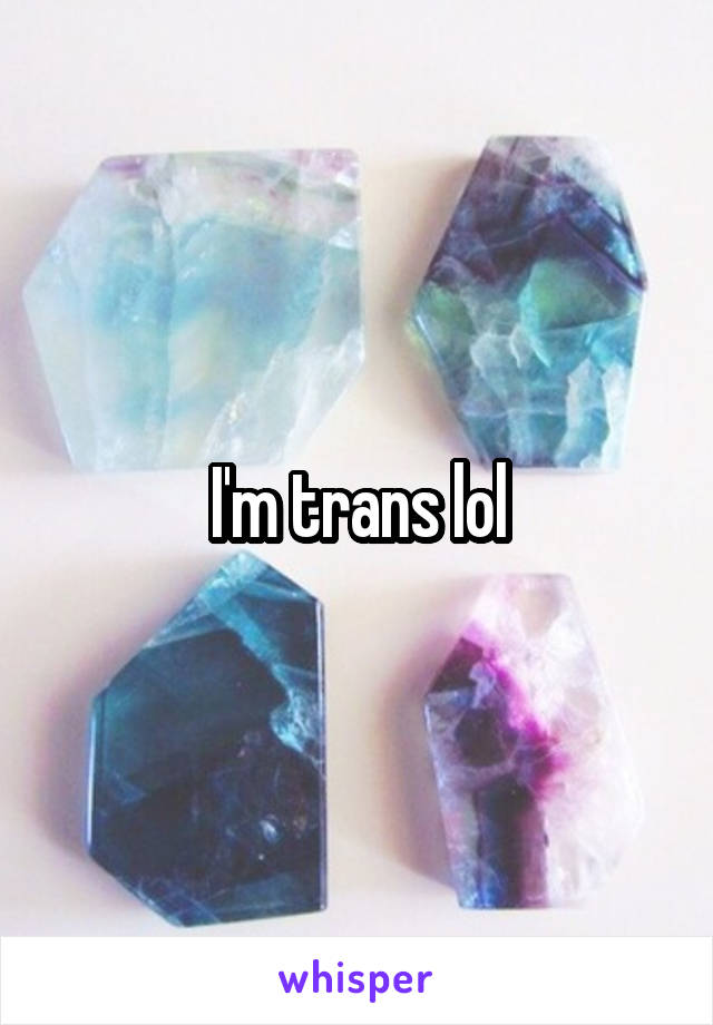 I'm trans lol