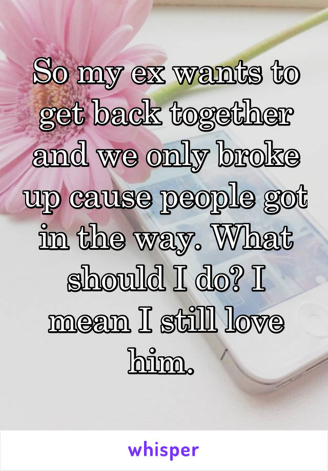 So my ex wants to get back together and we only broke up cause people got in the way. What should I do? I mean I still love him. 
