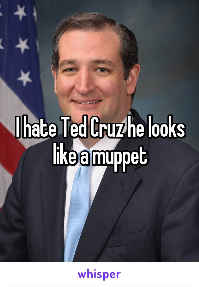 I hate Ted Cruz he looks like a muppet