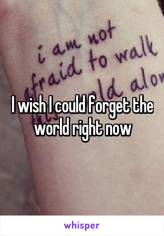 I wish I could forget the world right now