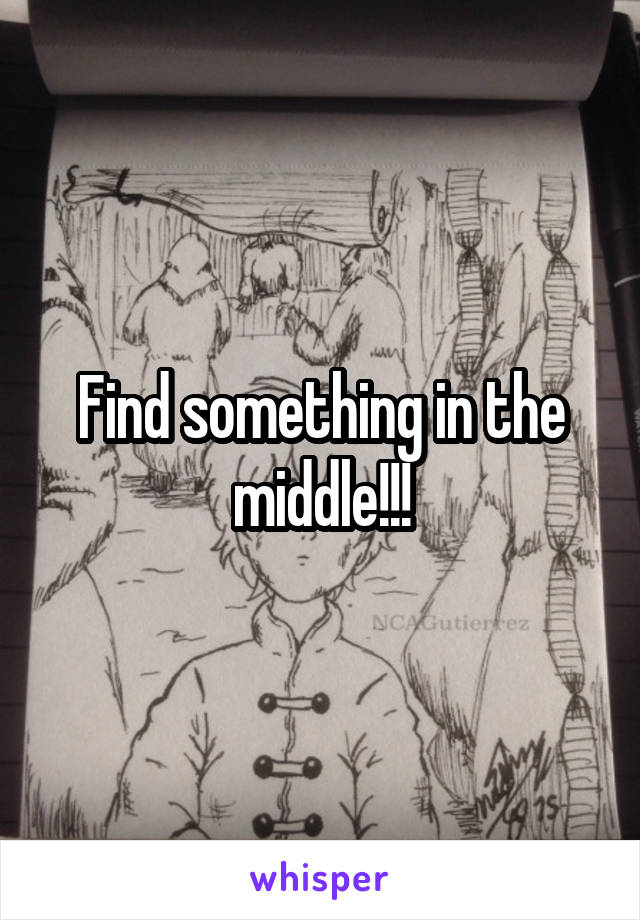 Find something in the middle!!!