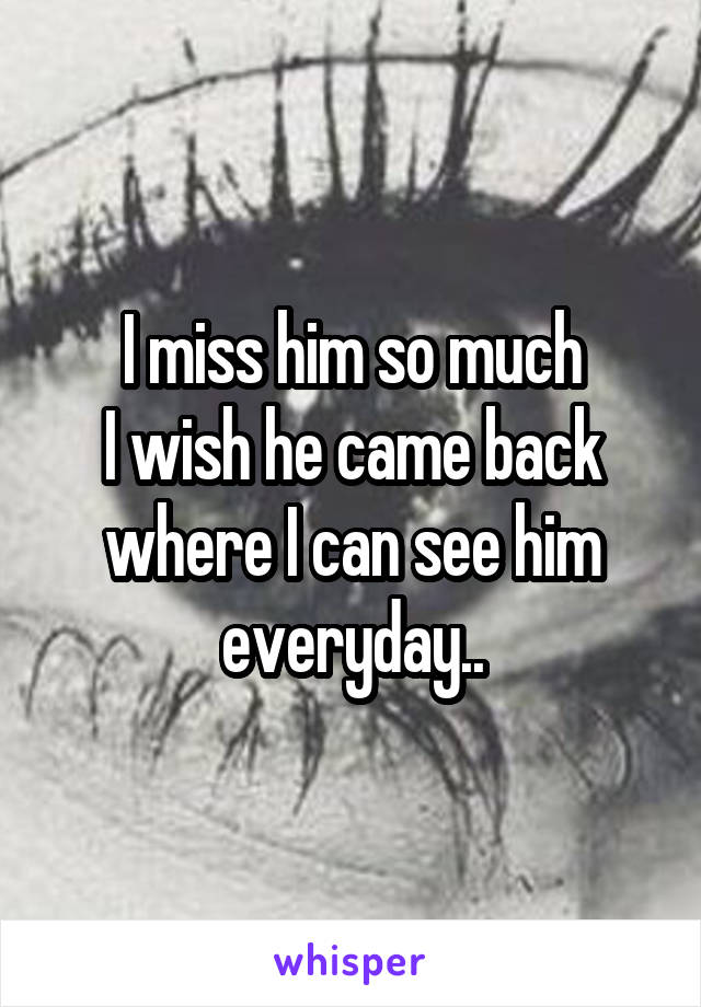 I miss him so much
I wish he came back where I can see him everyday..