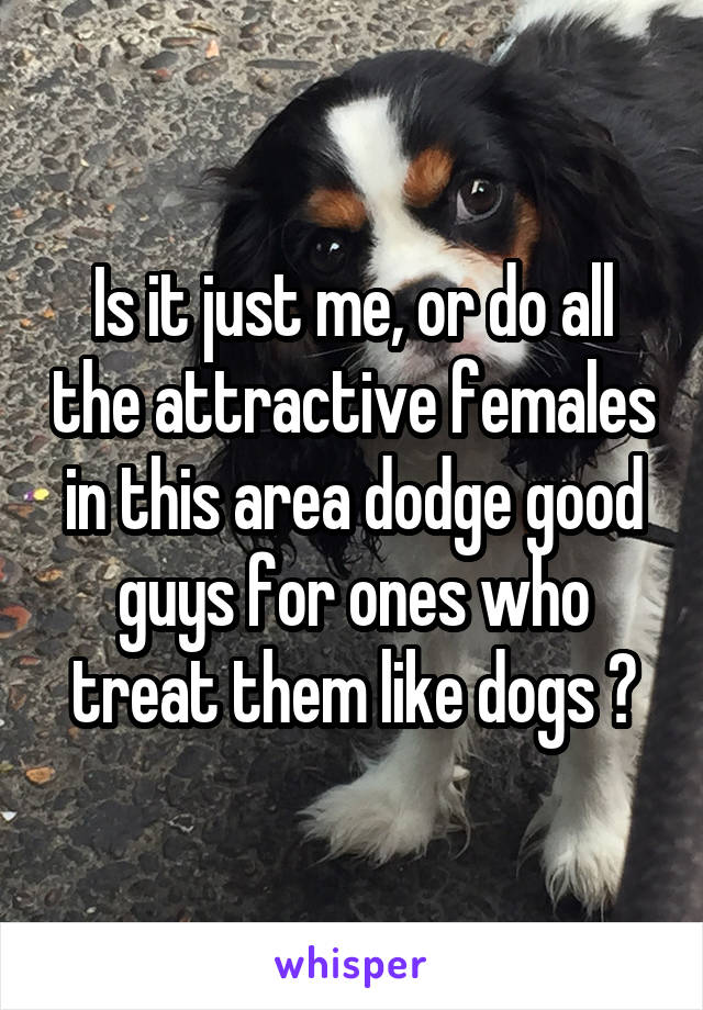 Is it just me, or do all the attractive females in this area dodge good guys for ones who treat them like dogs ?