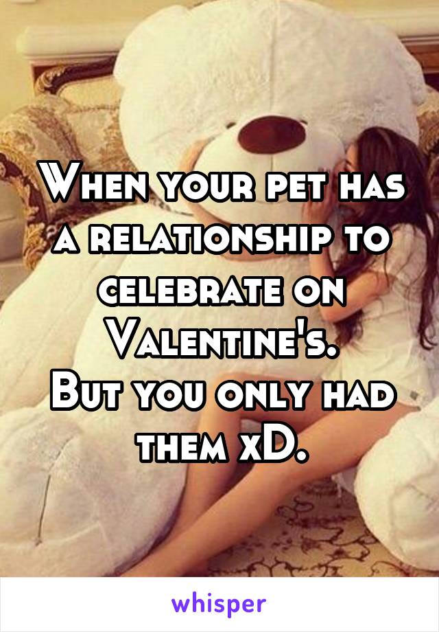 When your pet has a relationship to celebrate on Valentine's.
But you only had them xD.