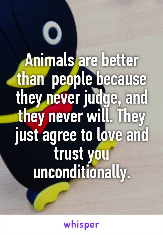 Animals are better than  people because they never judge, and they never will. They just agree to love and trust you unconditionally.