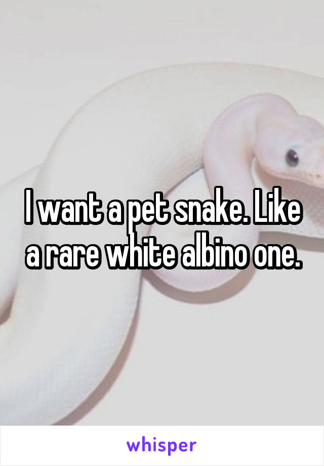 I want a pet snake. Like a rare white albino one.