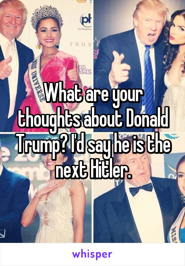 What are your thoughts about Donald Trump? I'd say he is the next Hitler.