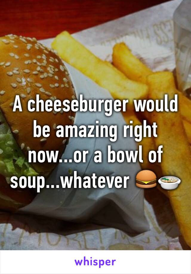 A cheeseburger would be amazing right now...or a bowl of soup...whatever 🍔🍲