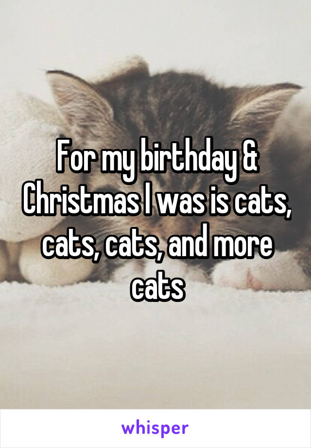 For my birthday & Christmas I was is cats, cats, cats, and more cats