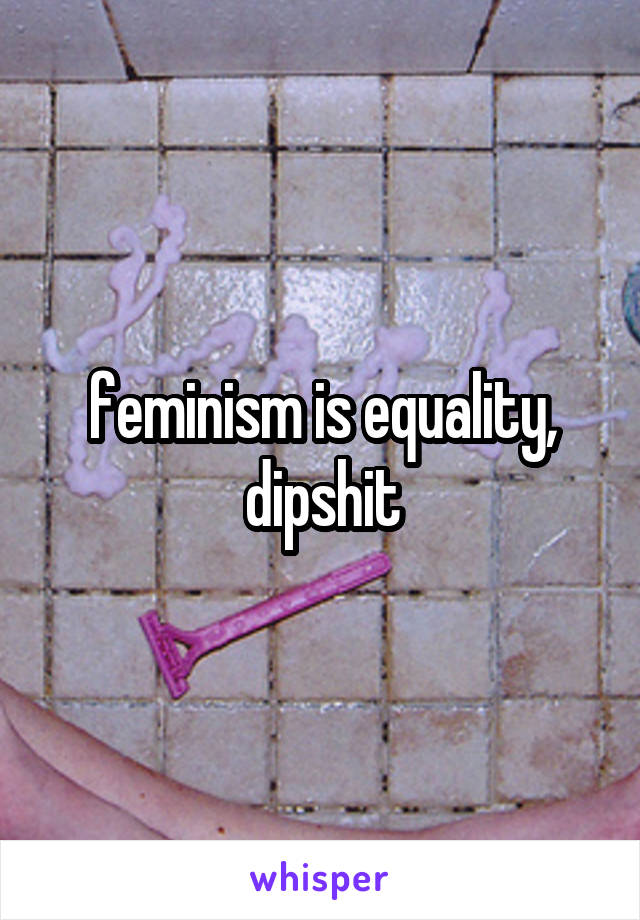 feminism is equality, dipshit