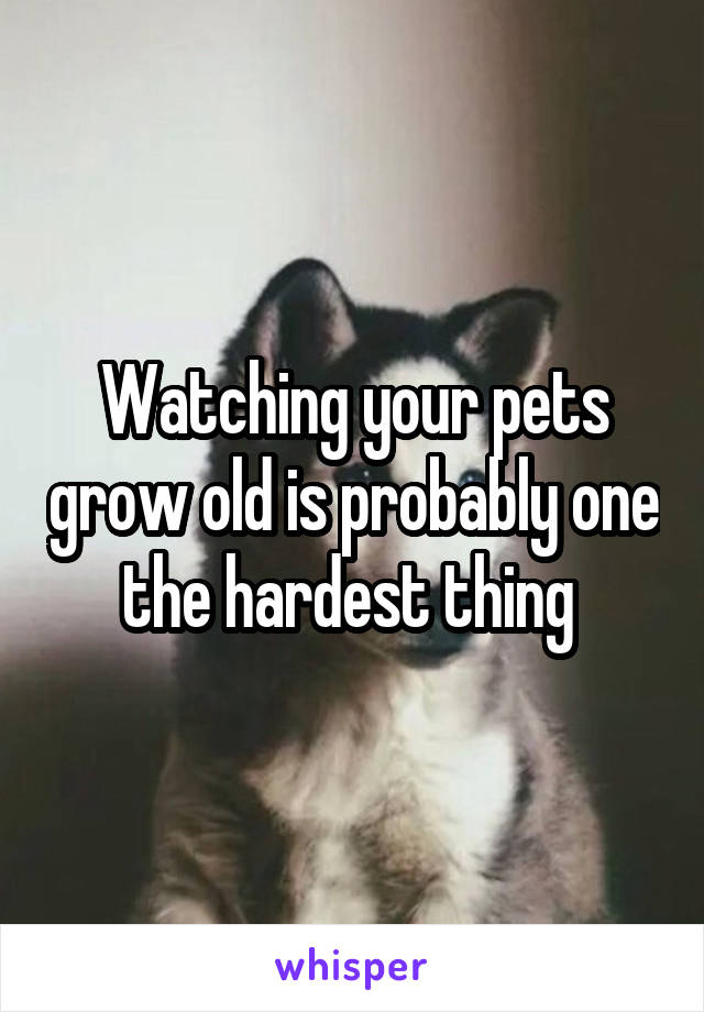 Watching your pets grow old is probably one the hardest thing 