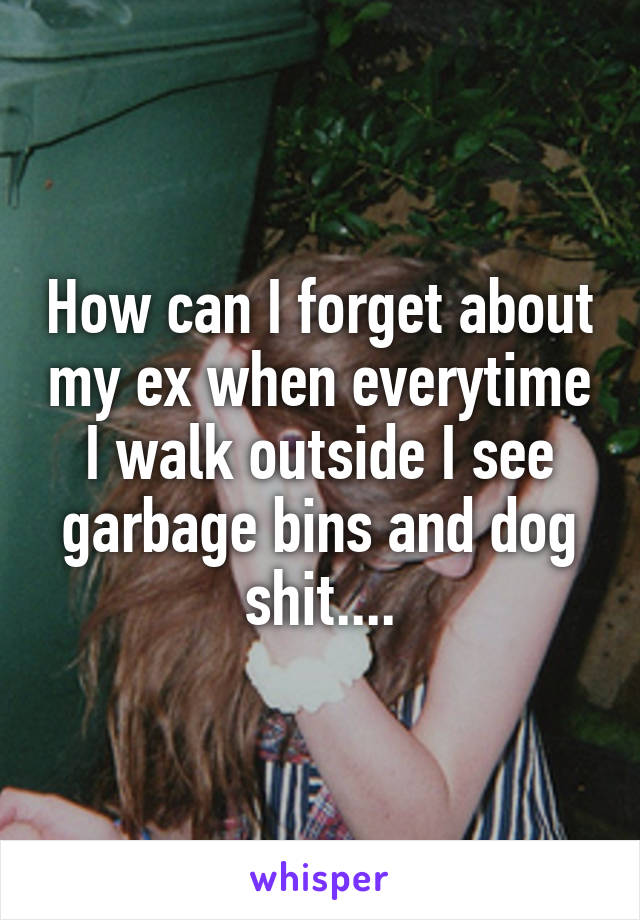 How can I forget about my ex when everytime I walk outside I see garbage bins and dog shit....