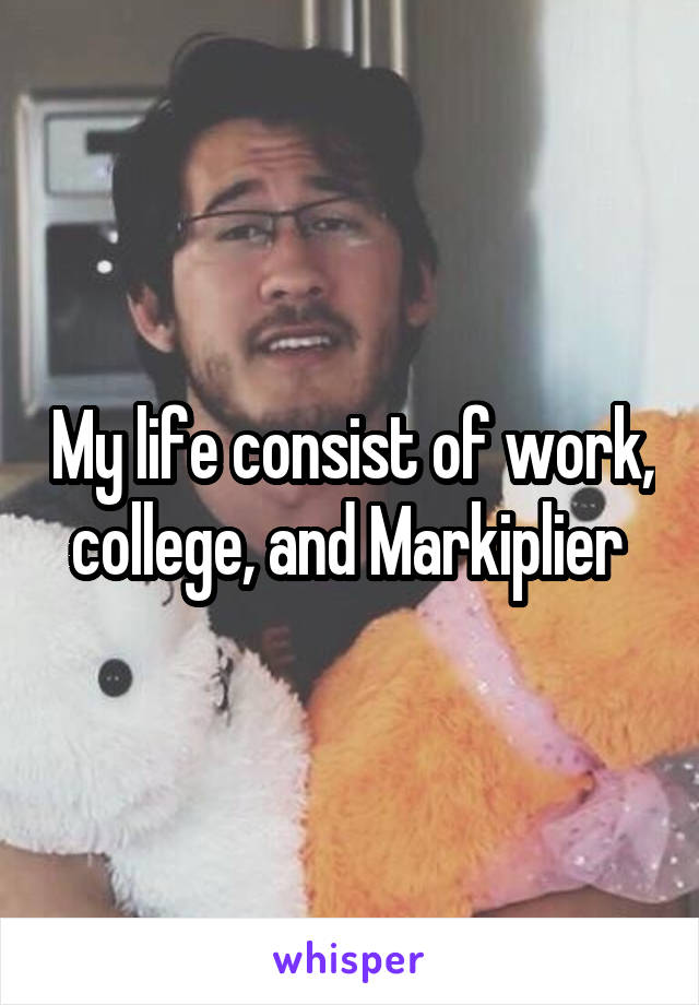 My life consist of work, college, and Markiplier 